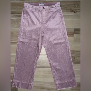 LOFT Mauve Pink Velvety Pants 👖💗🌸✨